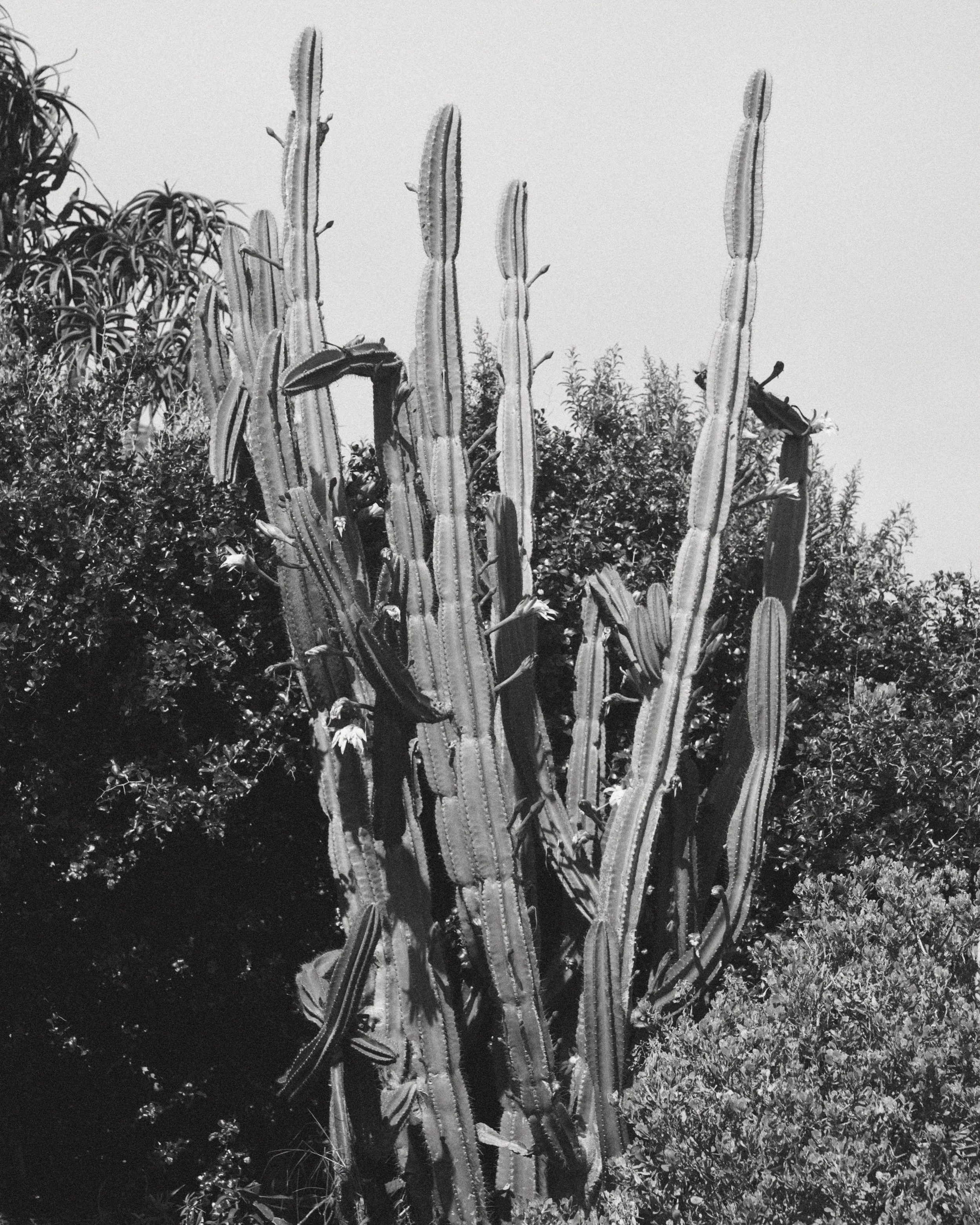 BeautyTest_Shot_02_0177 1.jpg