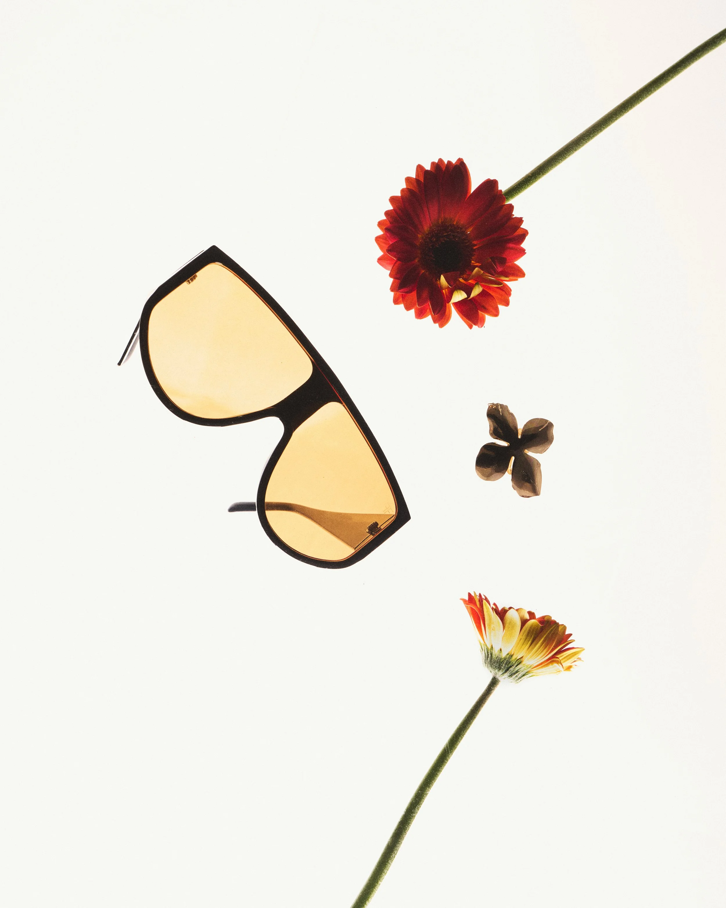 Bash_Transitionals_Day02_July25_WOMEN_STILL_LIFE_02_0026 1.jpg