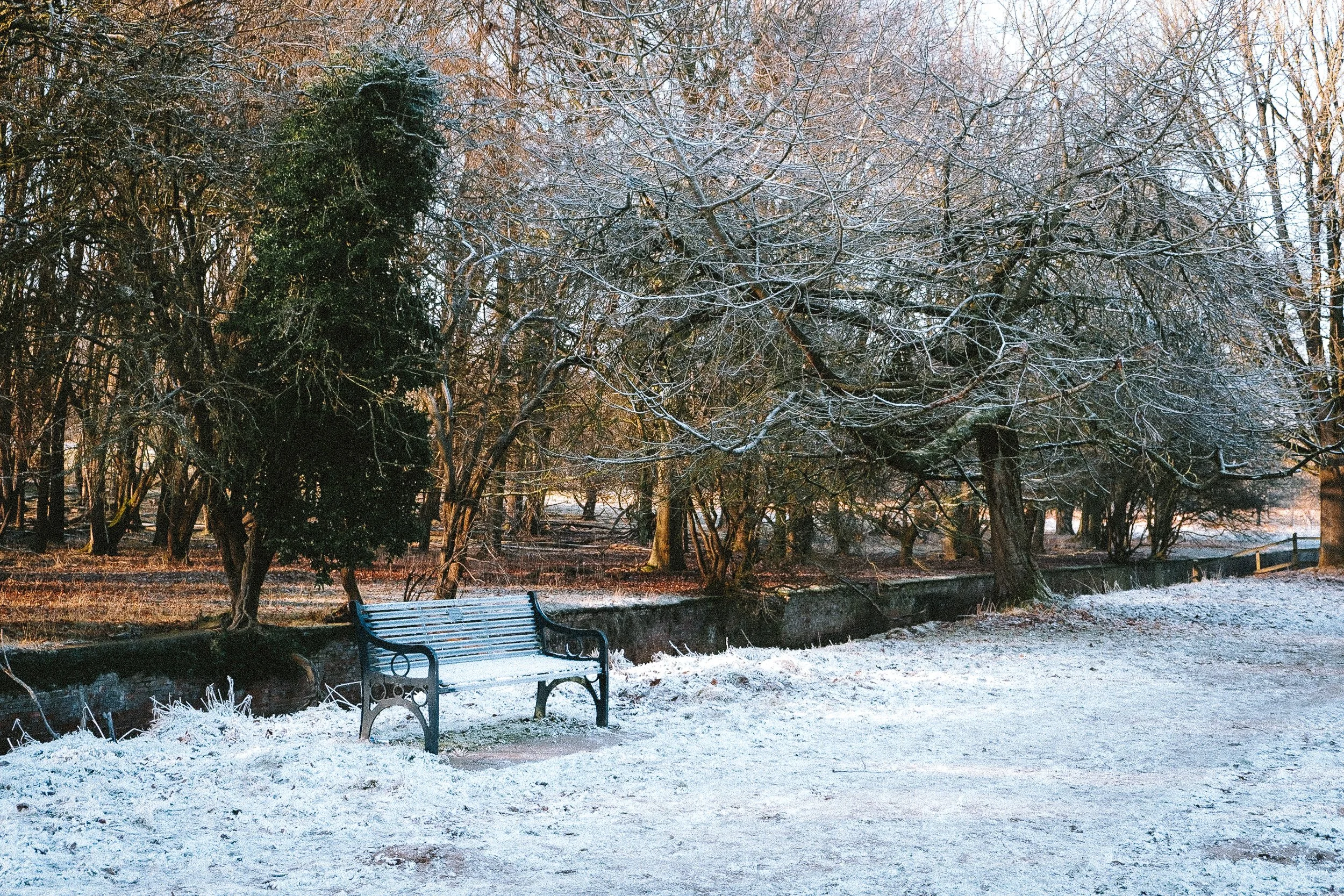 Park with snow-covered ground, trees with snow on branches, and a blue bench.