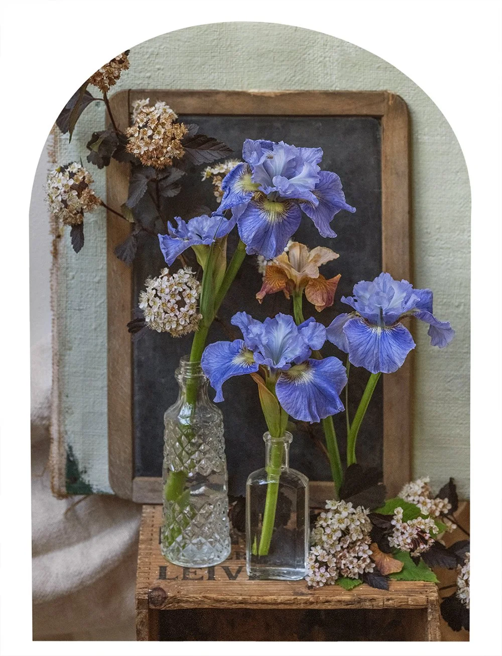 Kreetta’s Floral Album
