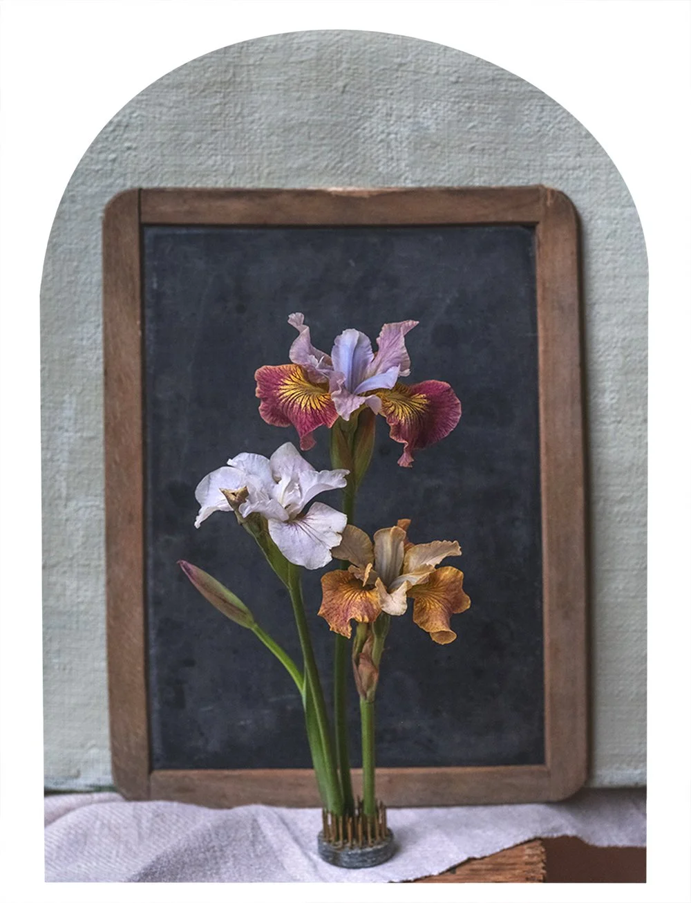A bouquet of iris flowers in various colors, placed in a small glass vase, with a black chalkboard framed in wood in the background.