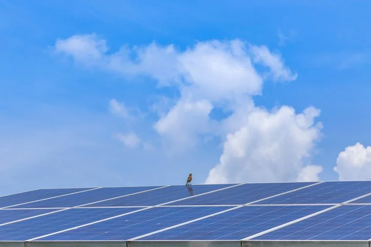 Communicating Renewable Energy Policy with Clarity and Care