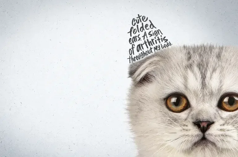 Extreme Characteristics in Cats
