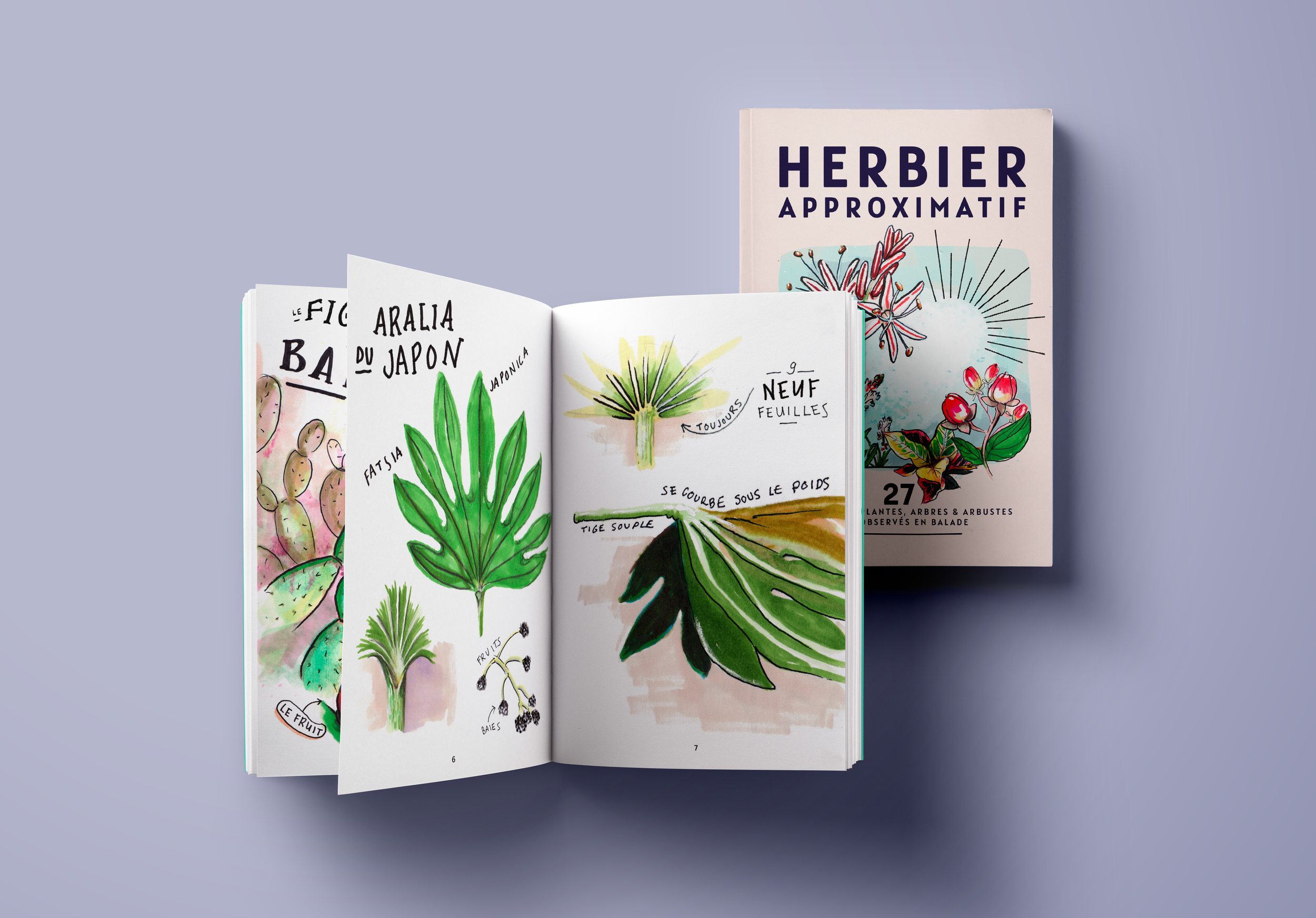Herbier