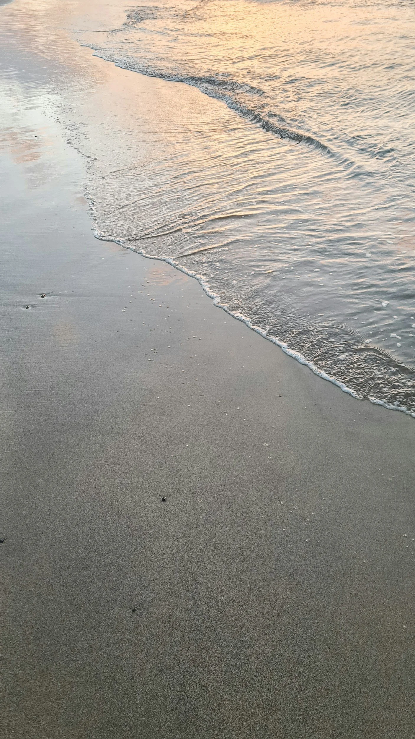 unsplash-image-gtEiOgqhCv0.jpg