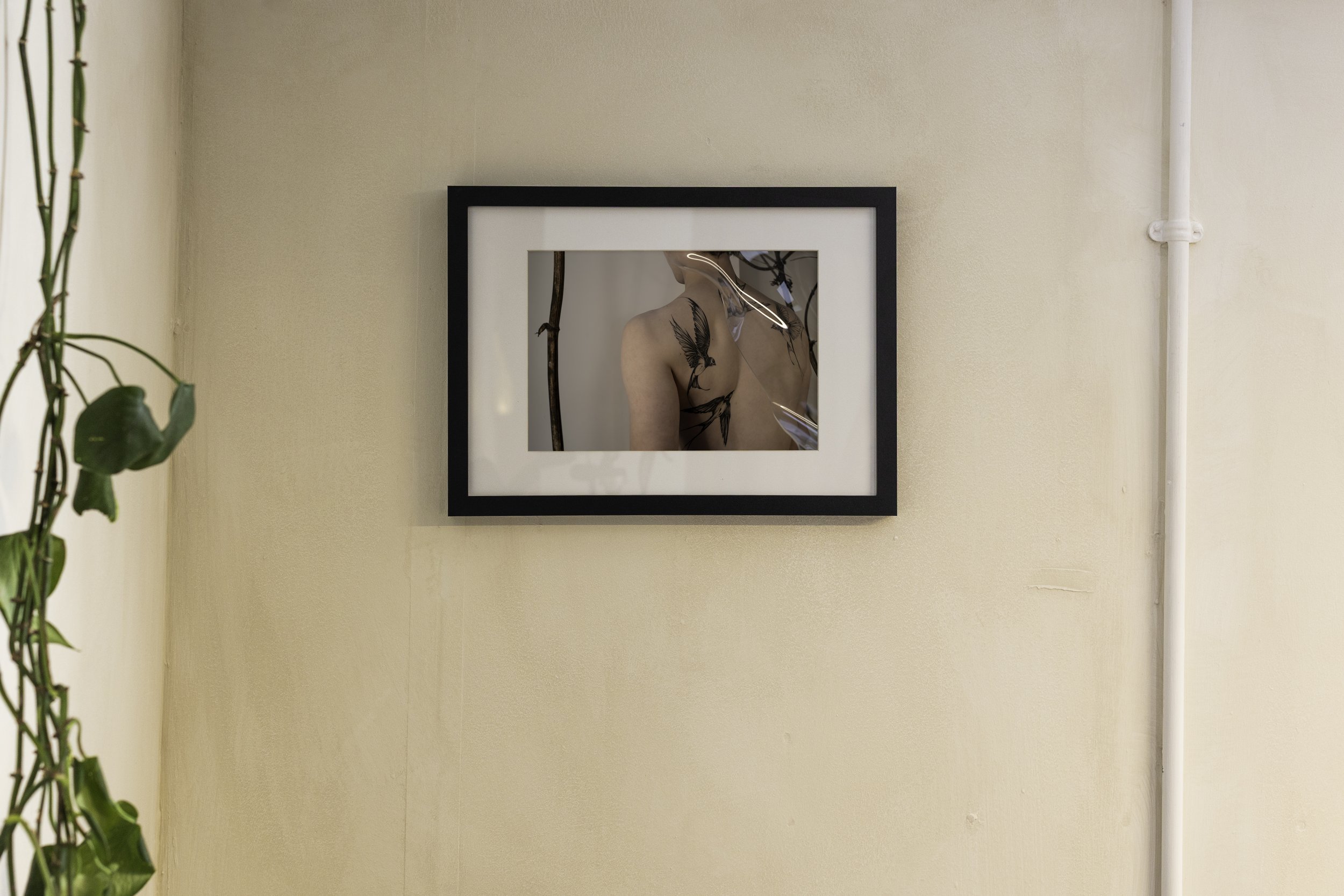 Photo by Jamie Johnstone