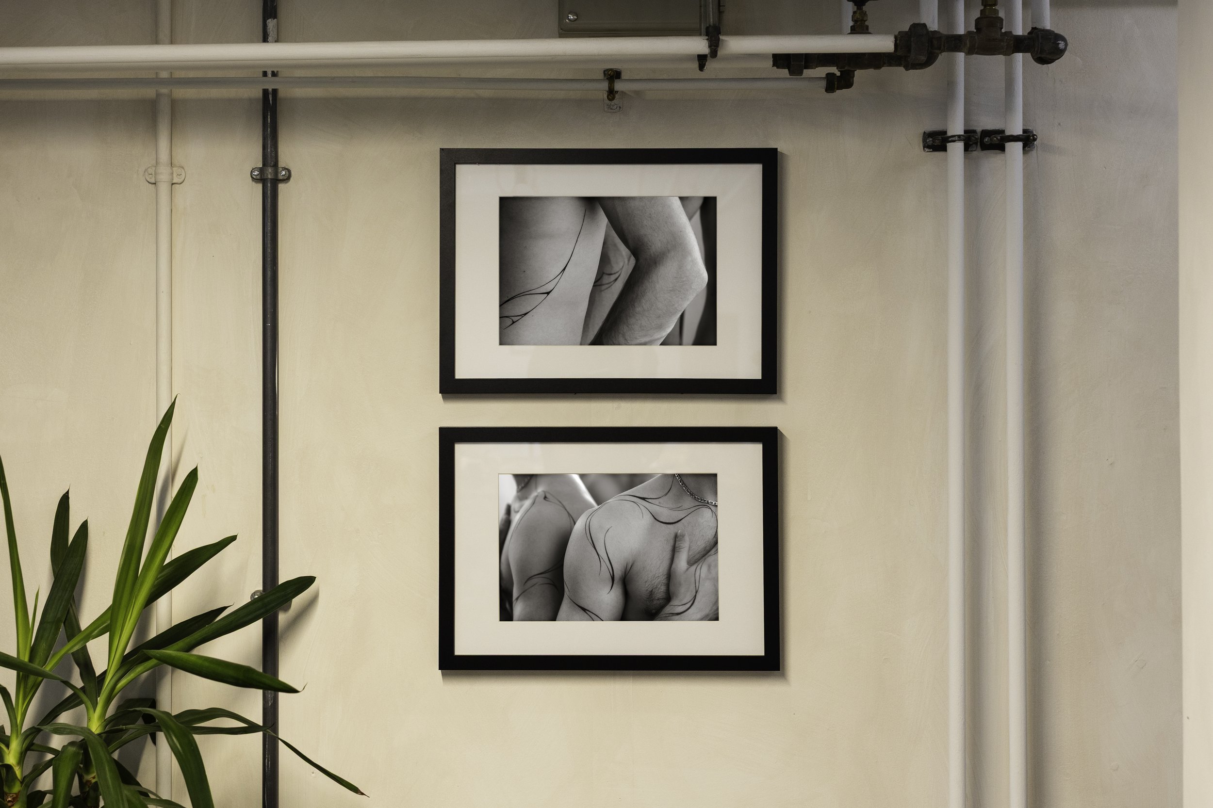 Photos by Graham Williams