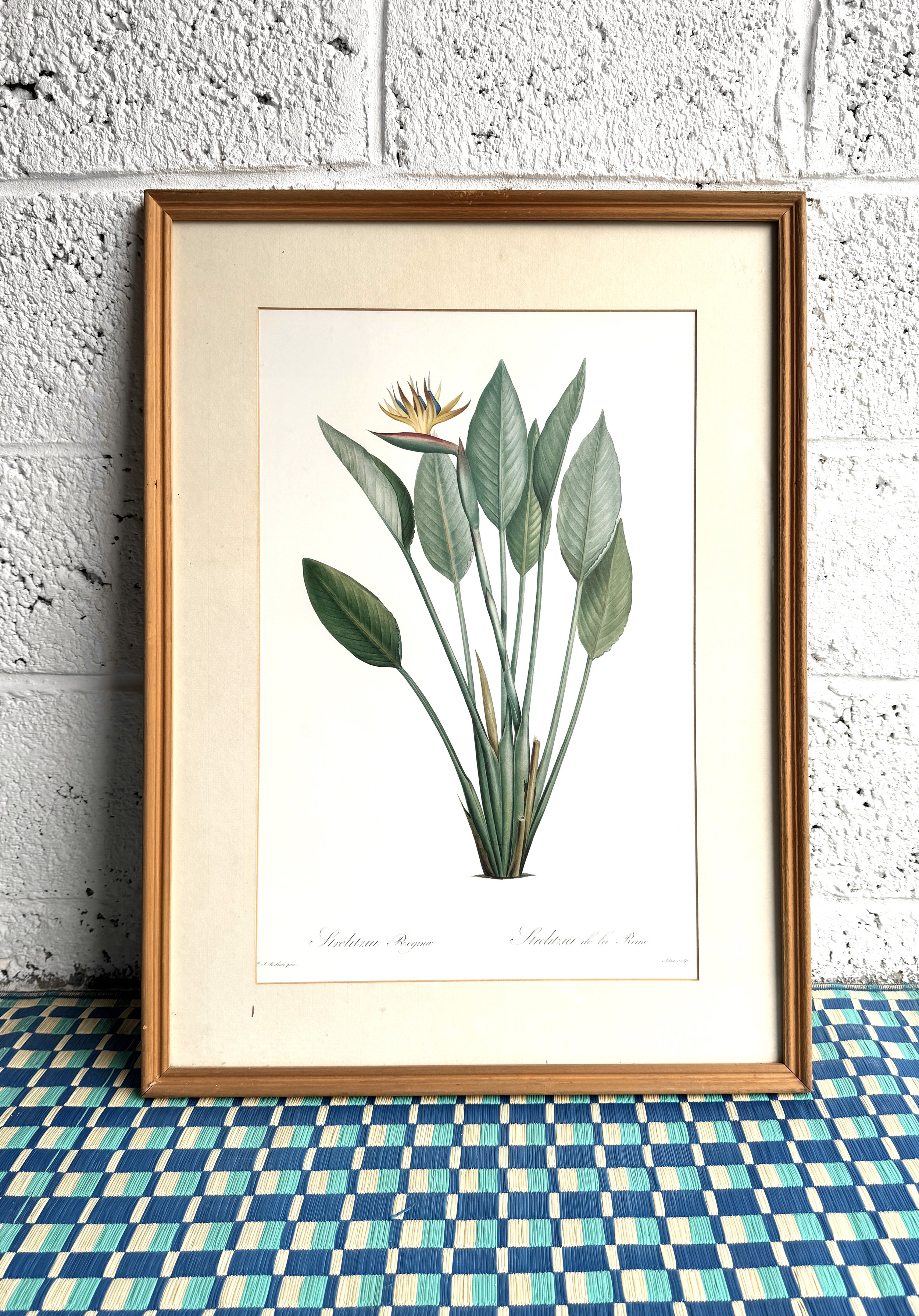 PALM DRAWING