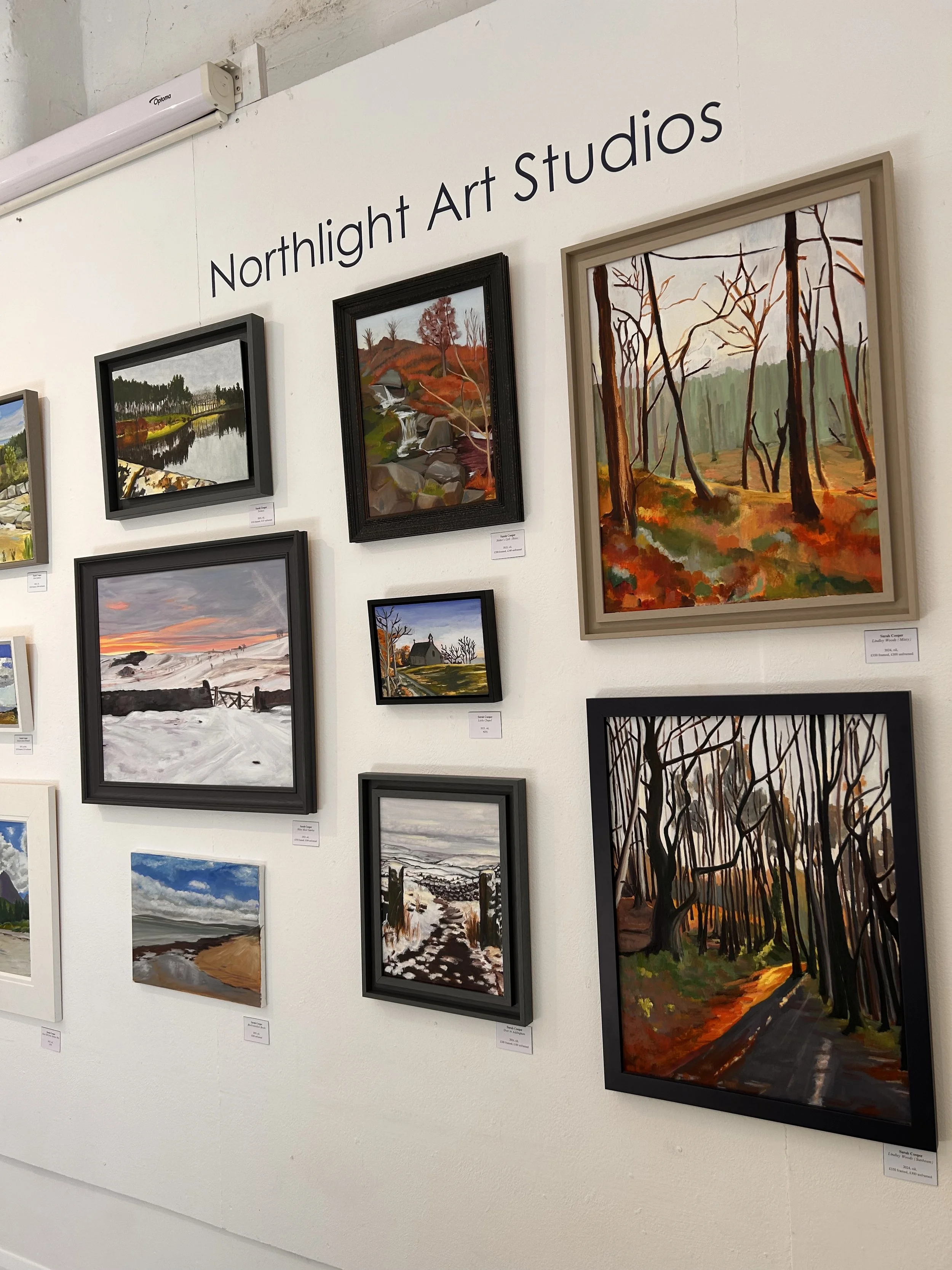 Gallery wall featuring landscape paintings at Northlight Art Studios, showcasing scenes of nature including trees, water, and snowy landscapes.