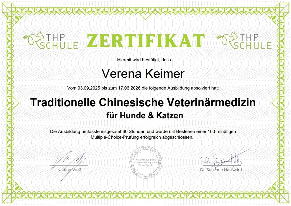 Zertifikat-Traditionelle Chinesische Veterinärmedizin für Hunde & Katzen-Verena Keimer