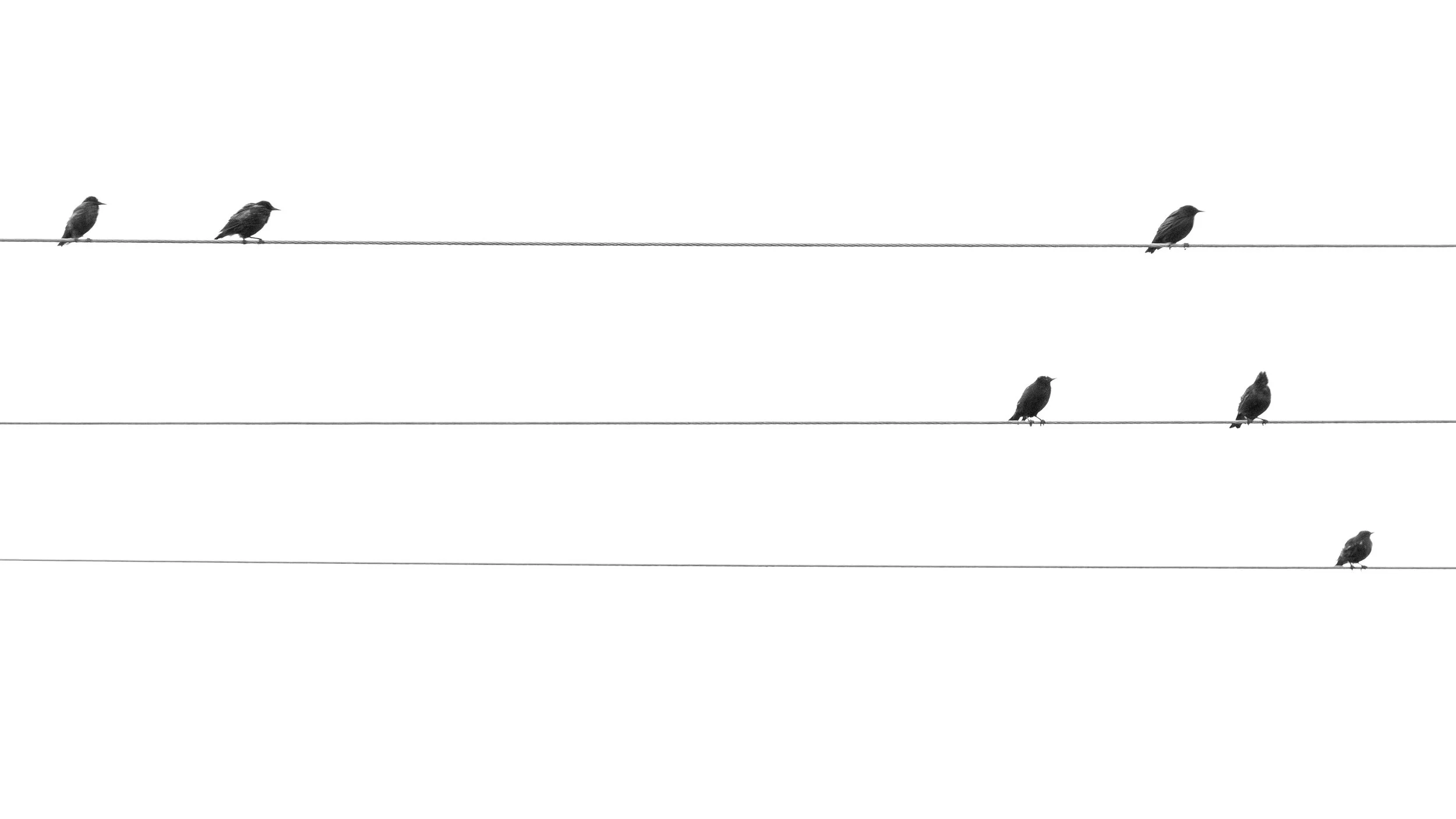 Plagiando sinfonías