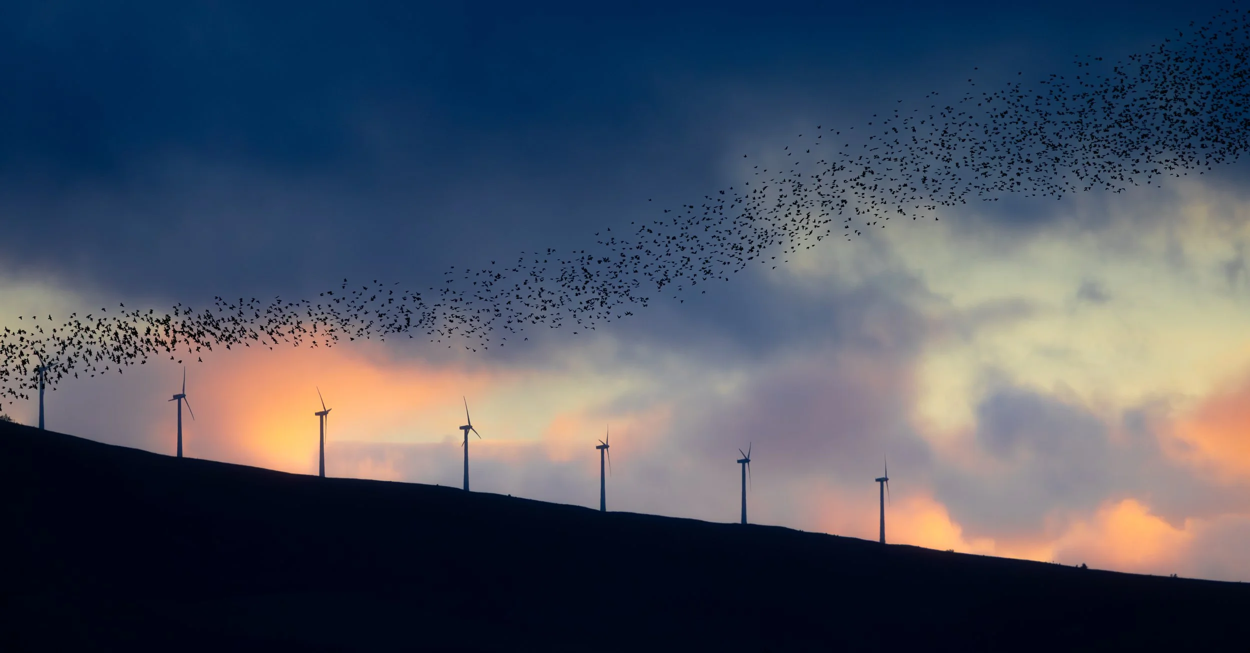 Duplicidad de fuerzas