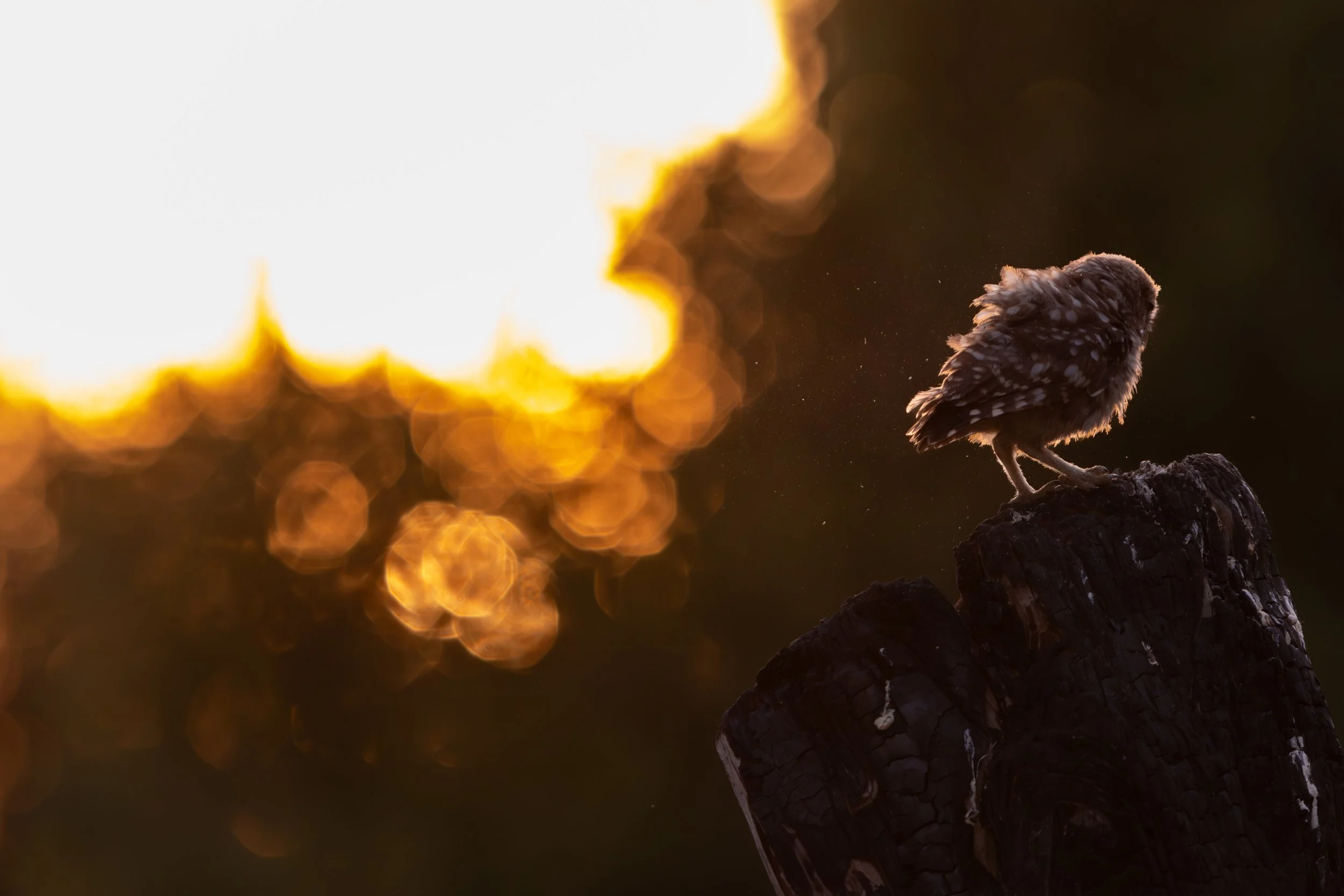 Para unos empieza el día y para otros termina