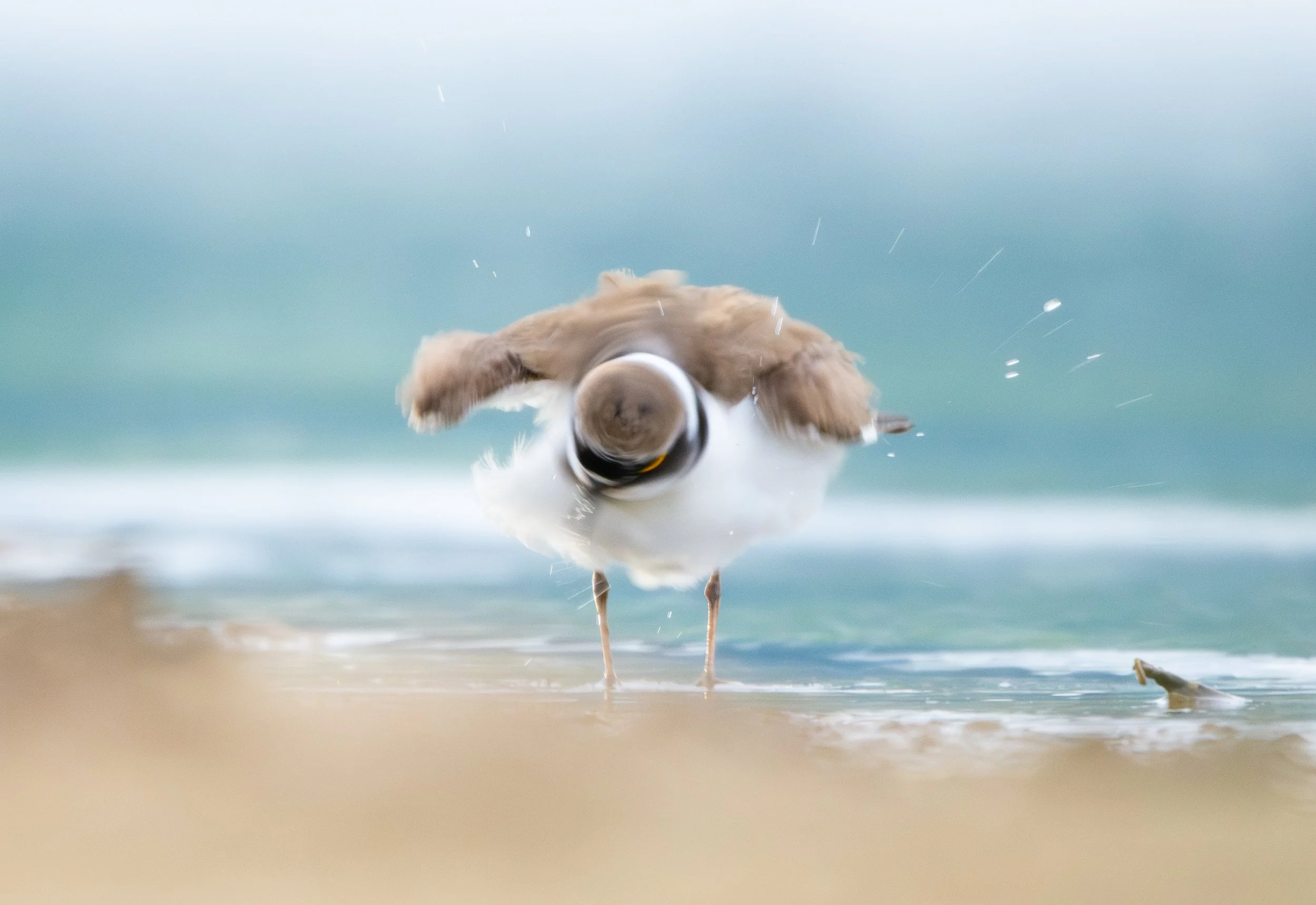 Secado ultra rápido