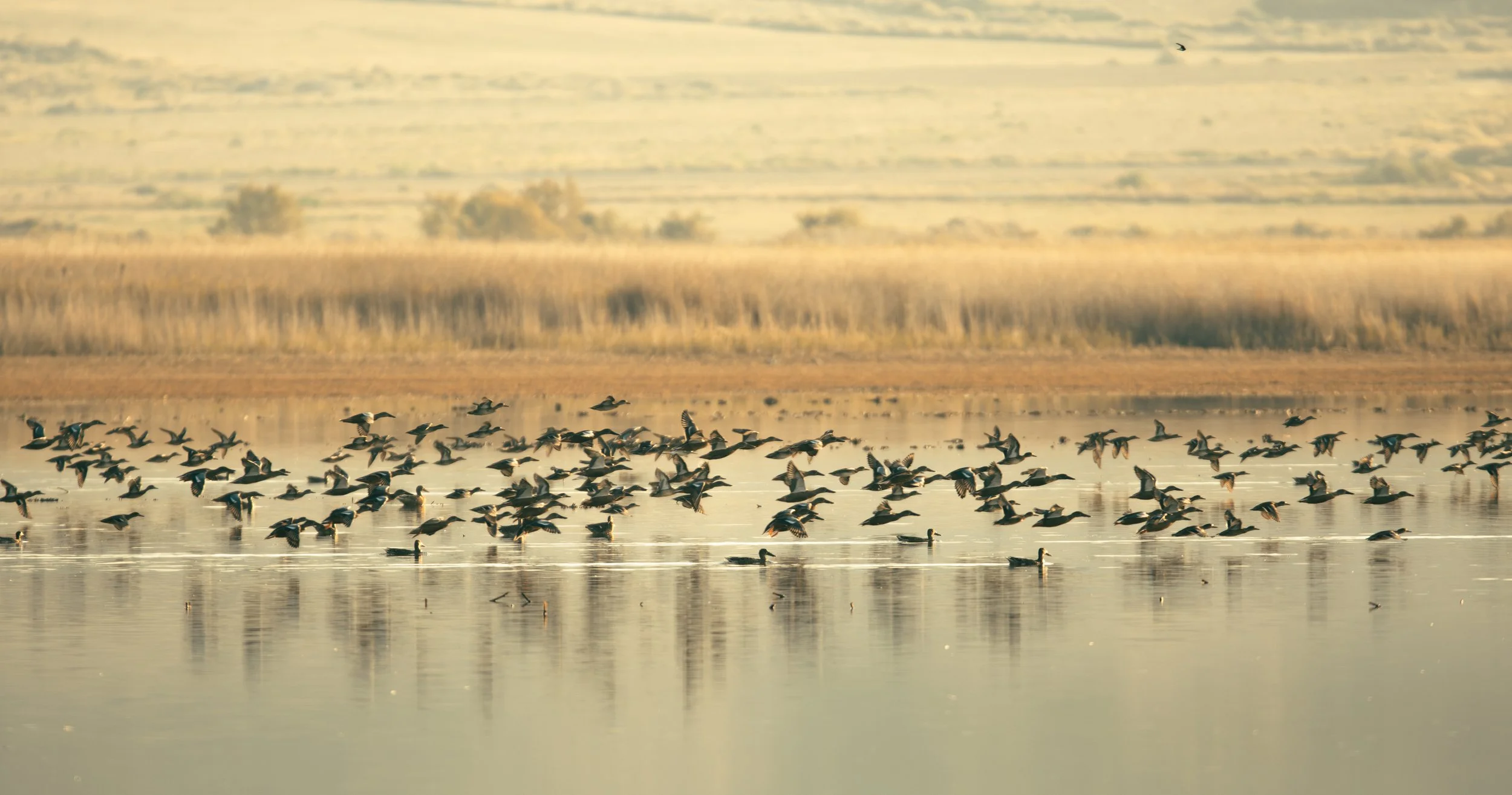 Un ciego guiando a otro ciego
