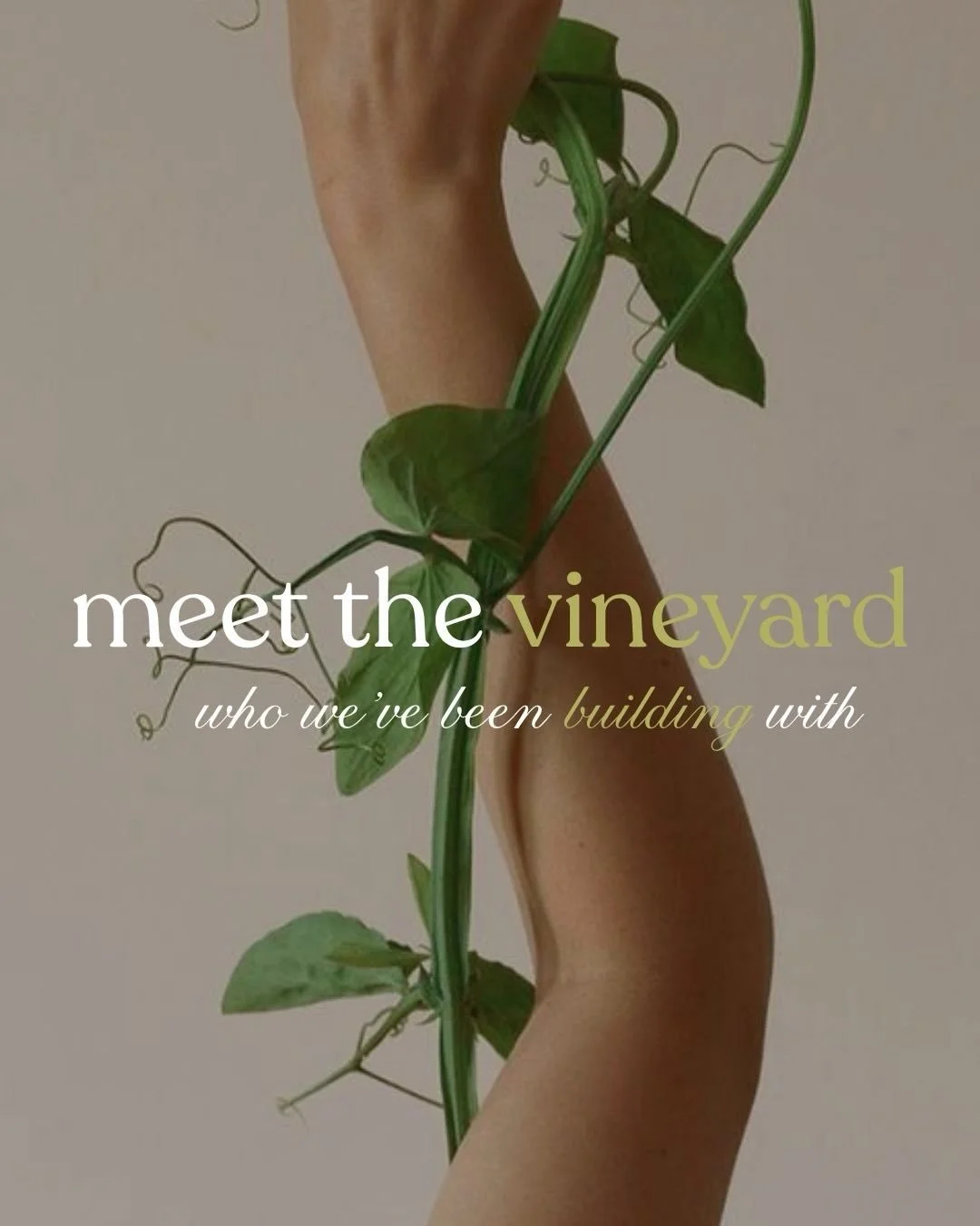 meet the vineyard. 

Our curated collection of clients we&rsquo;ve had the privilege of coming alongside &mdash; each one a partnership rooted in intention and a real investment in their growth (because that&rsquo;s one thing a vine is absolutely goi