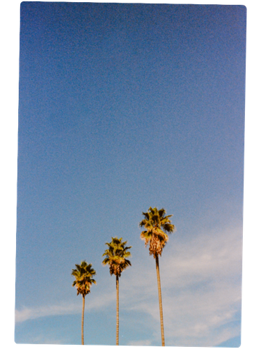 Scroll-stopping content and brand strategy for local businesses Southern California