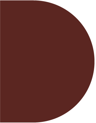 Stylised geometric letter  D that stands for Director