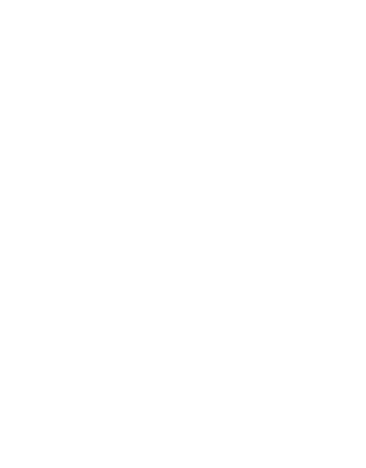 Stylised geometric letter  D that stands for Director