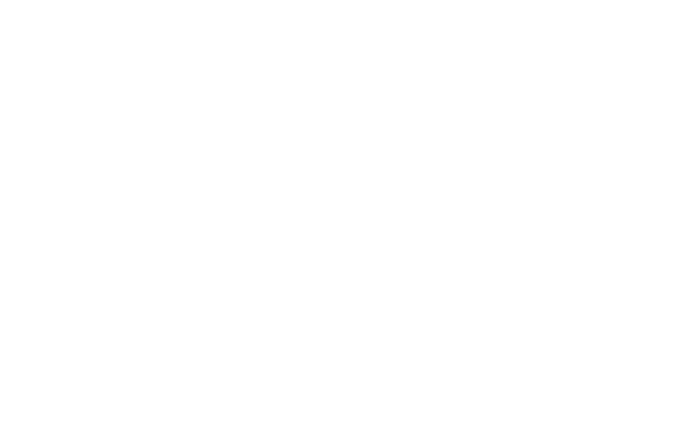 Stylised geometric letters  - CE -  that stand for  Chief Executive