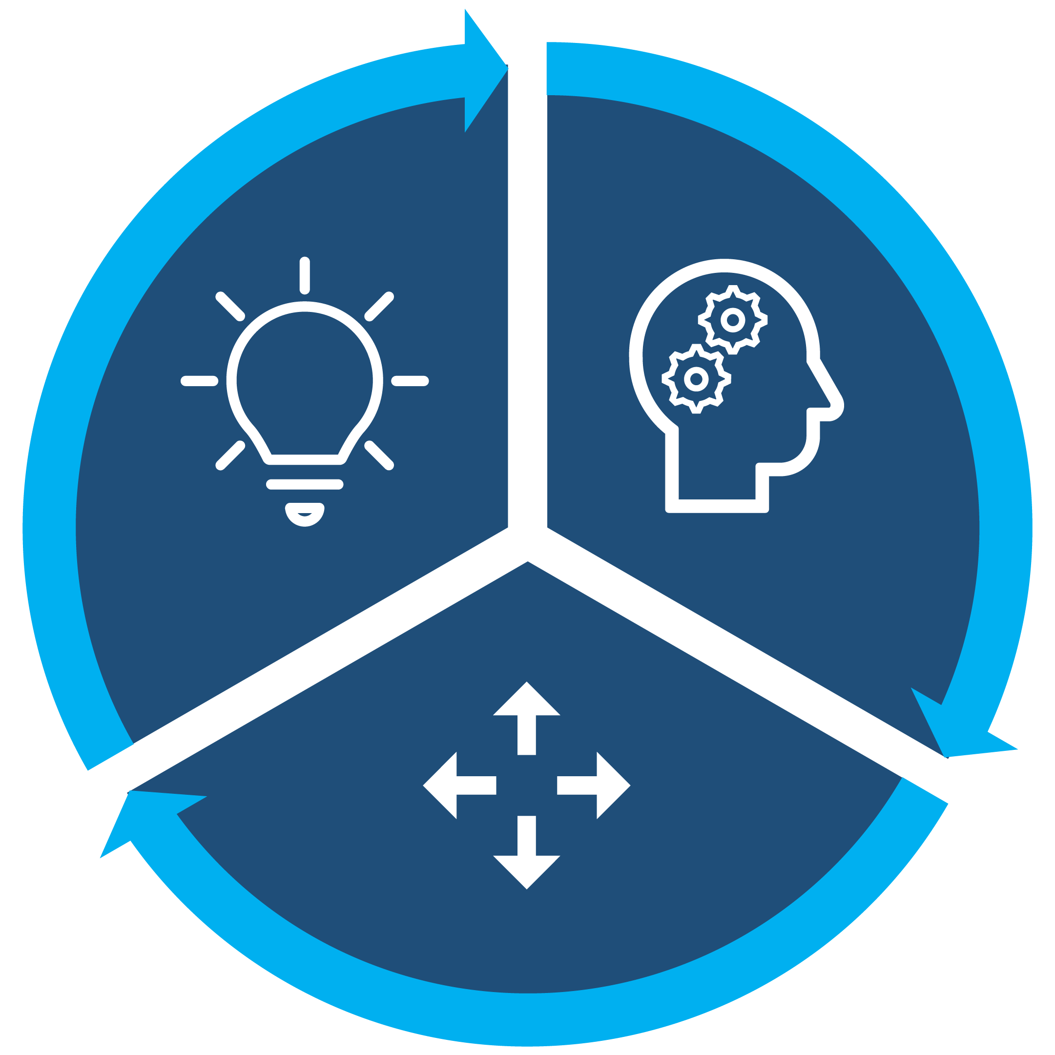 Success Profile Structure pie chart, divided into three equal sections, each with an icon representing the three success components