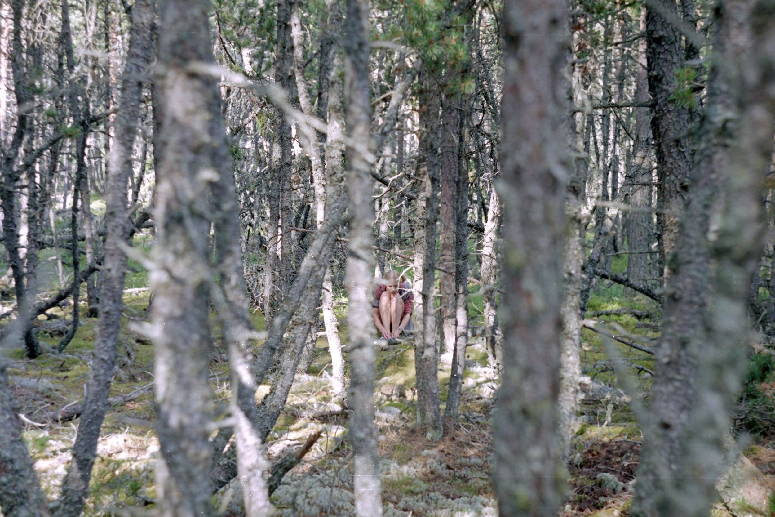 Fotorännak Lahemaal / Photo trip in Lahemaa