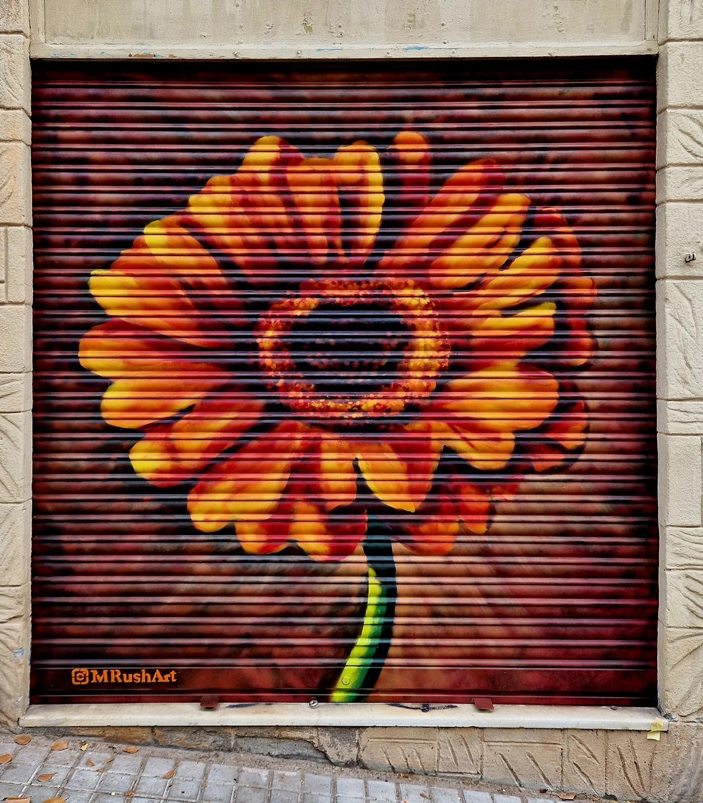 Froilan-Gerbera-Web-Edited.jpg