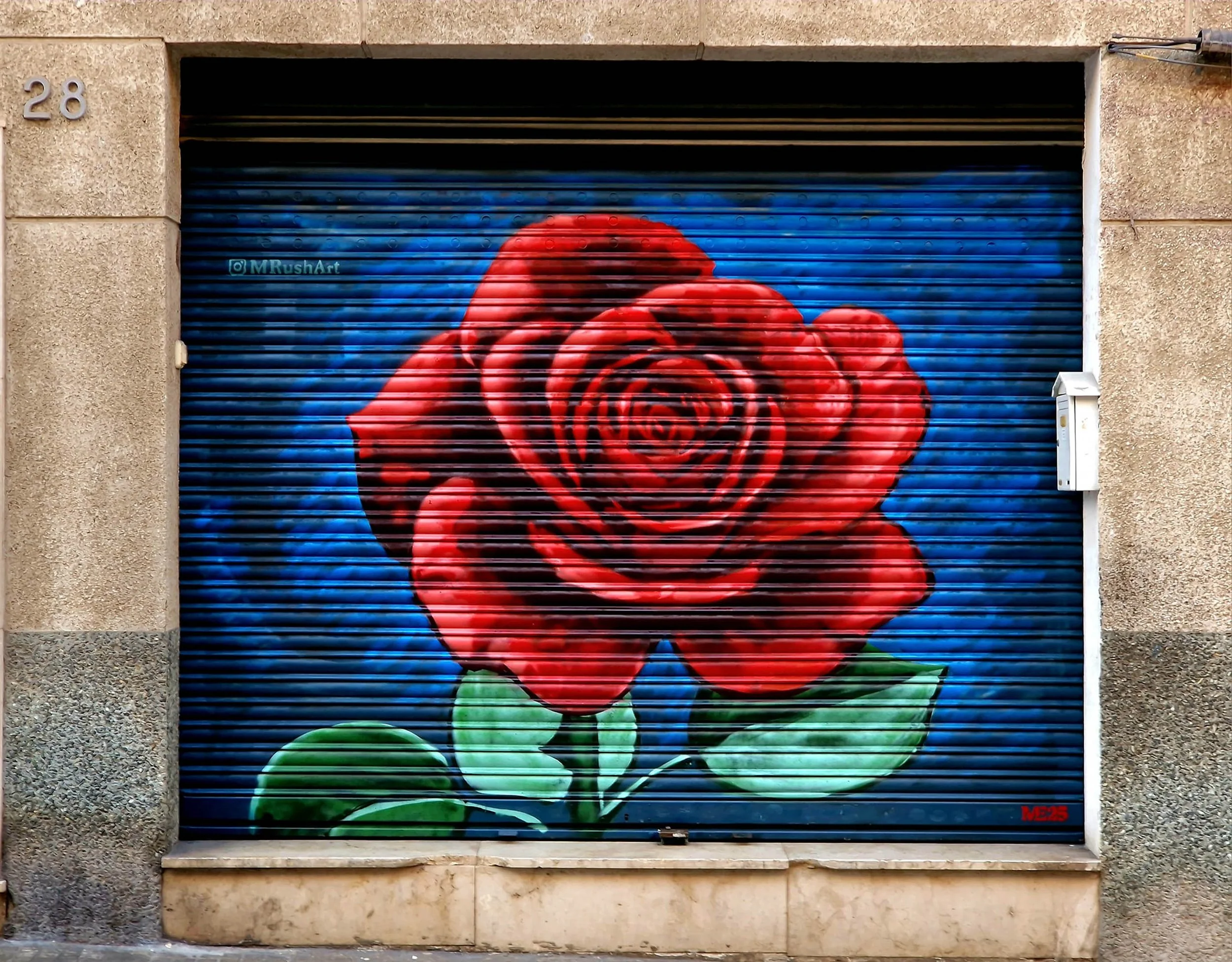 Rose on persiana mural by Matthew Rush Elmore.