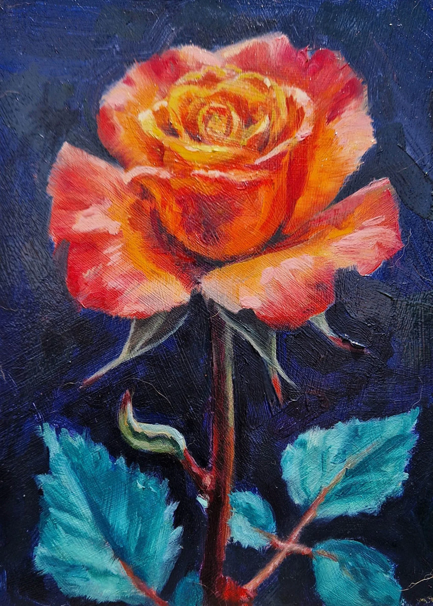 Rose study oil painting by Matthew Rush Elmore.