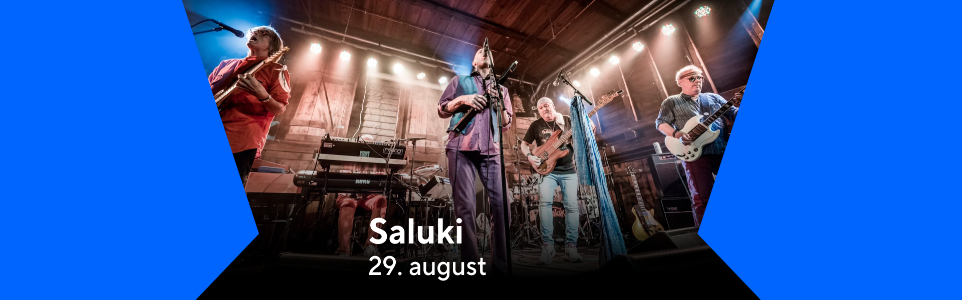 1920x600_karusell_forside_Saluki.png