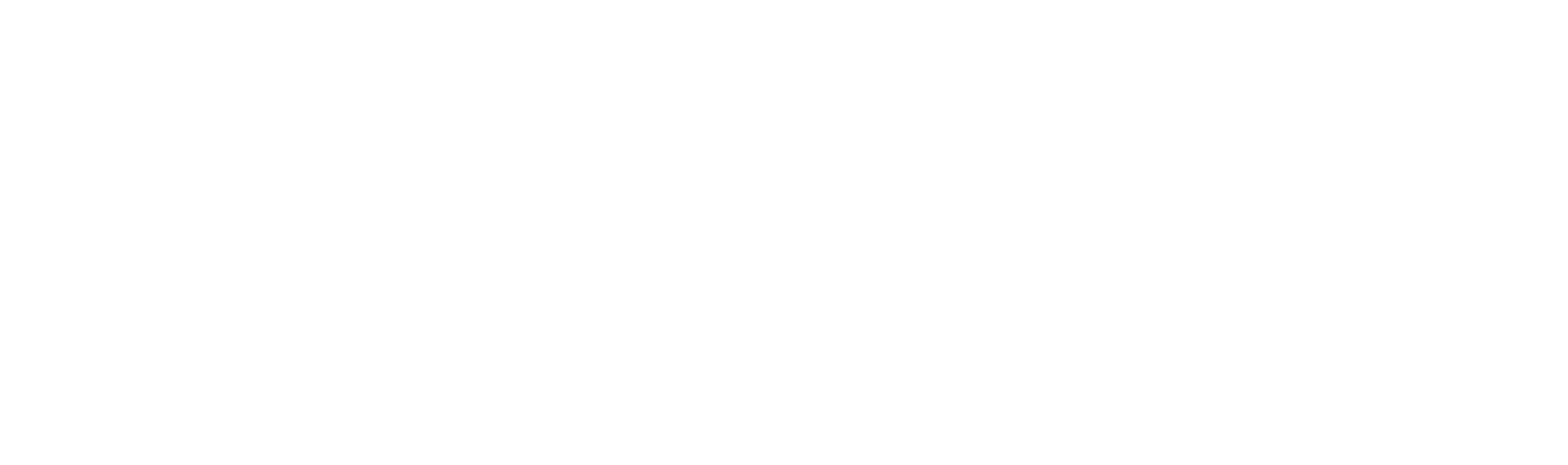 Visit Denmark logo