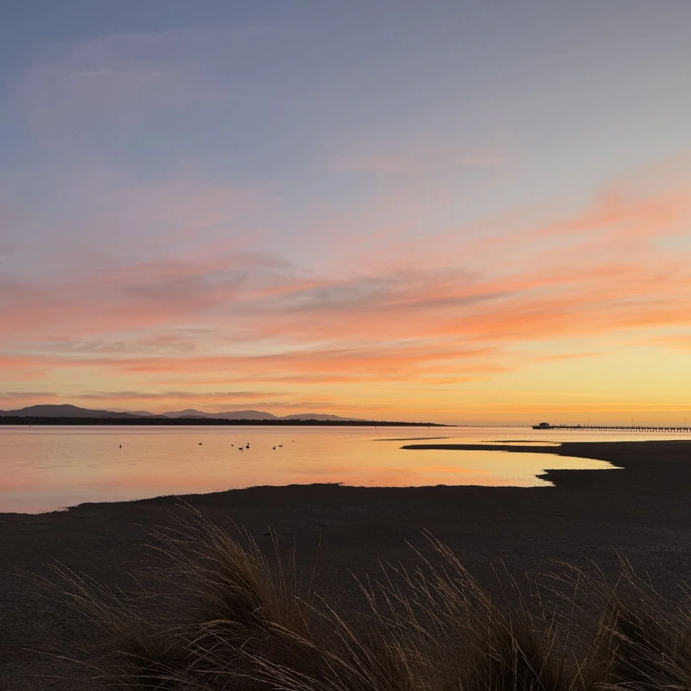 Collective Grief: An Hour of Shared Silence