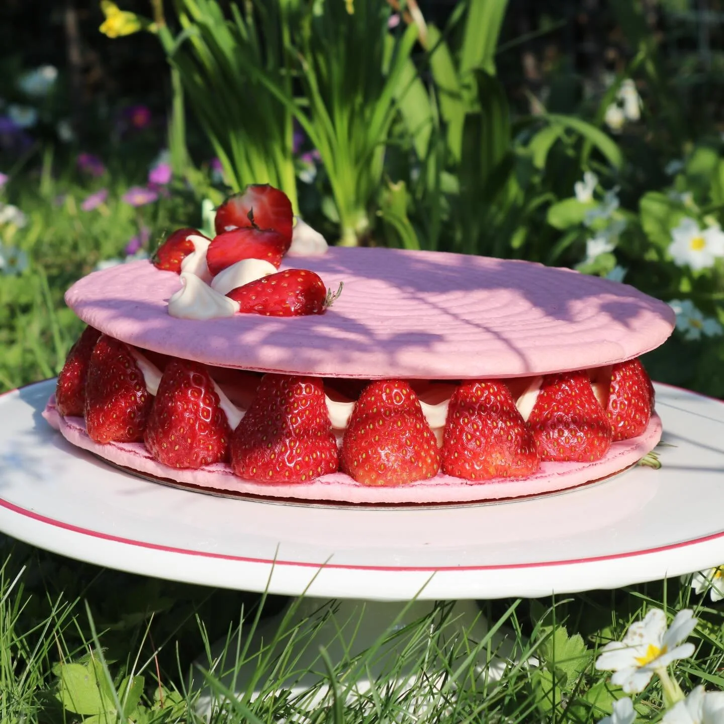 Le printemps est enfin l&agrave; 🌸

D&eacute;couvrez le macaron g&eacute;ant fa&ccedil;on fraisier 🍓

Une coque croquante, une cr&egrave;me onctueuse et des fraises fra&icirc;ches ✨

#lillemaviĺle #bentocakelille #patisserielille #traiteurlille