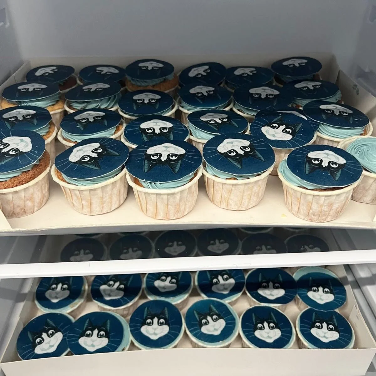 Voici une commande qui a bien fait plaisir &agrave; mon chat ! 🐱
Un plaisir de collaborer avec la marque F&eacute;lix 🐈

Pour l&rsquo;occasion, des cupcakes vanille et chocolat au lait 🧁

#traiteurevenementiel #traiteurlille #patisserielille #gate
