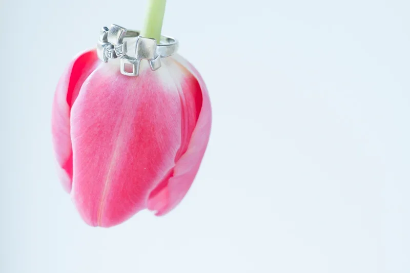Een roze bloem met een wit gouden ring en een groene stengel, op een witte achtergrond.