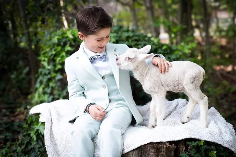 Jongen in lichtblauw pak met schoeisel die met een schapenvacht op een boomstam zit, knuffelt en lacht naar een jong schaap in een bosachtige omgeving.