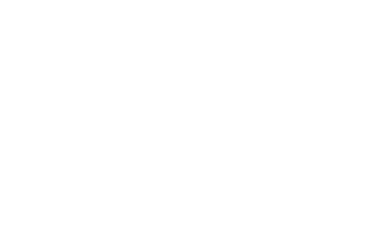 BidGuard image of house with dollar sign