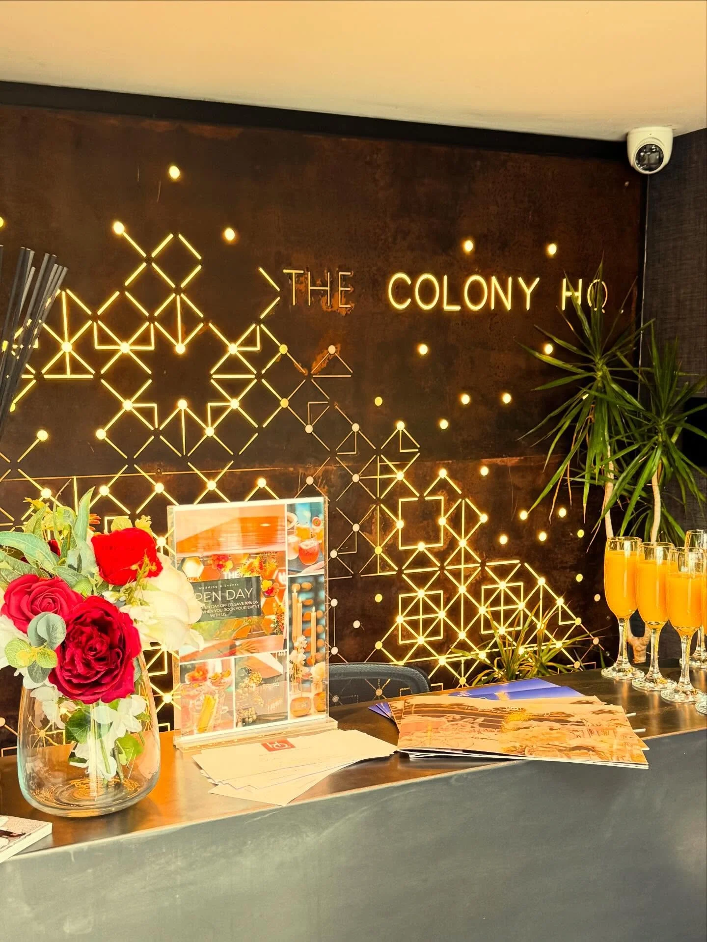 Met some fabulous suppliers today @thecolonyhq open day! Great to meet you all 🥰

@mobberleyicecream 
@smhphoto_cheshire 
@_label22 
@thetalltoastmaster 
@idovenuedressing 
@theoneattravel 
@oliviameasinger23