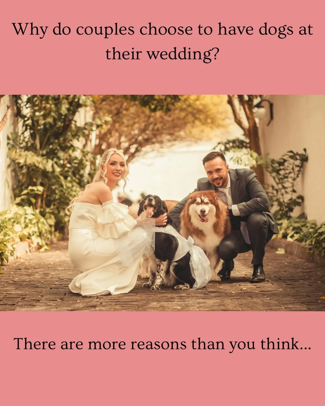 I adore dogs. Truly. If it were entirely up to me, every wedding would come with a dog. That said, not everyone shares this dream. 

For many of us, dogs aren&rsquo;t just pets, they are furry family members. Before inviting yours down the aisle, it&
