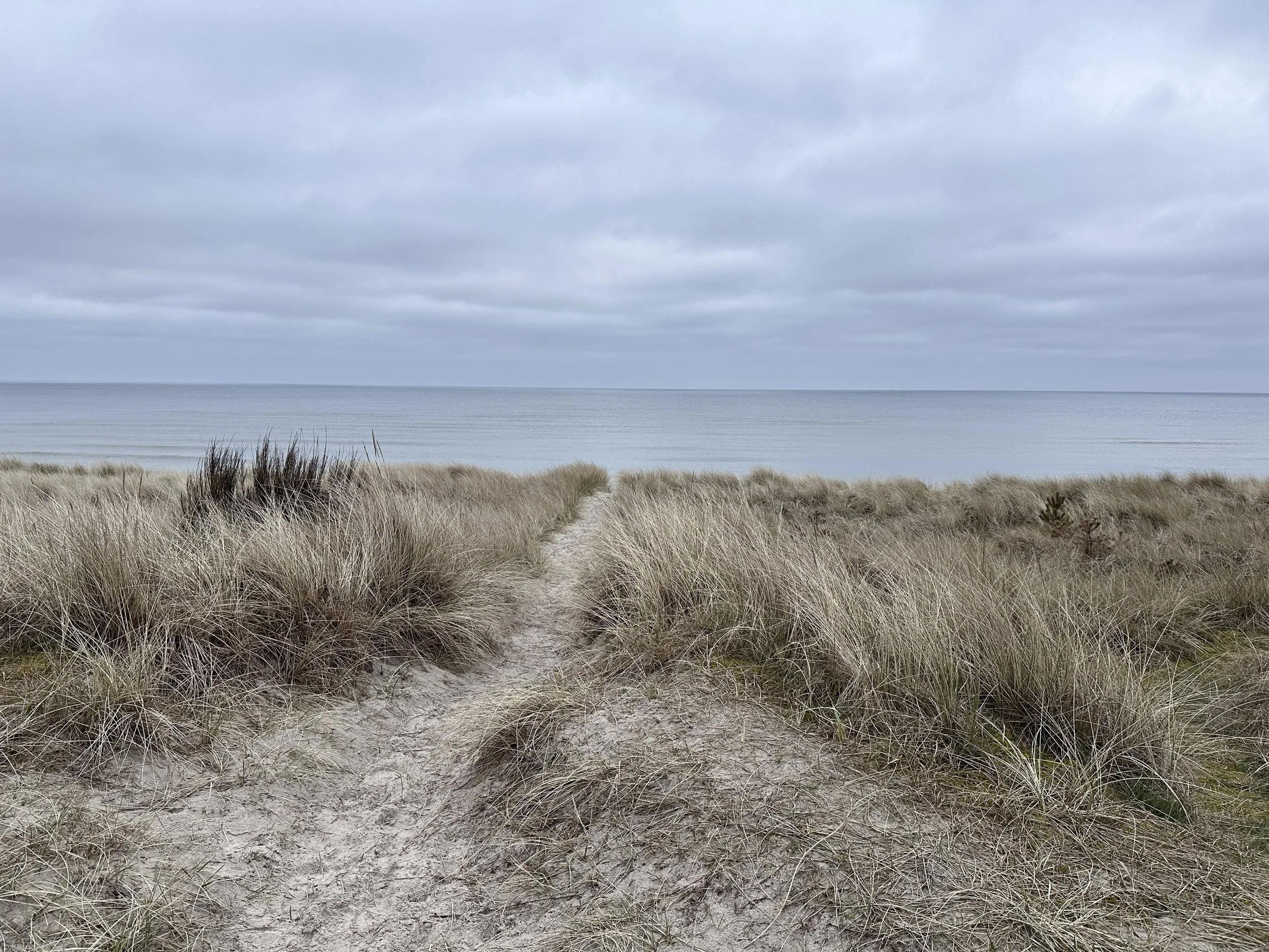 Sandsti vej gennem græs eller strandkrat mod havet under en overskyet himmel.