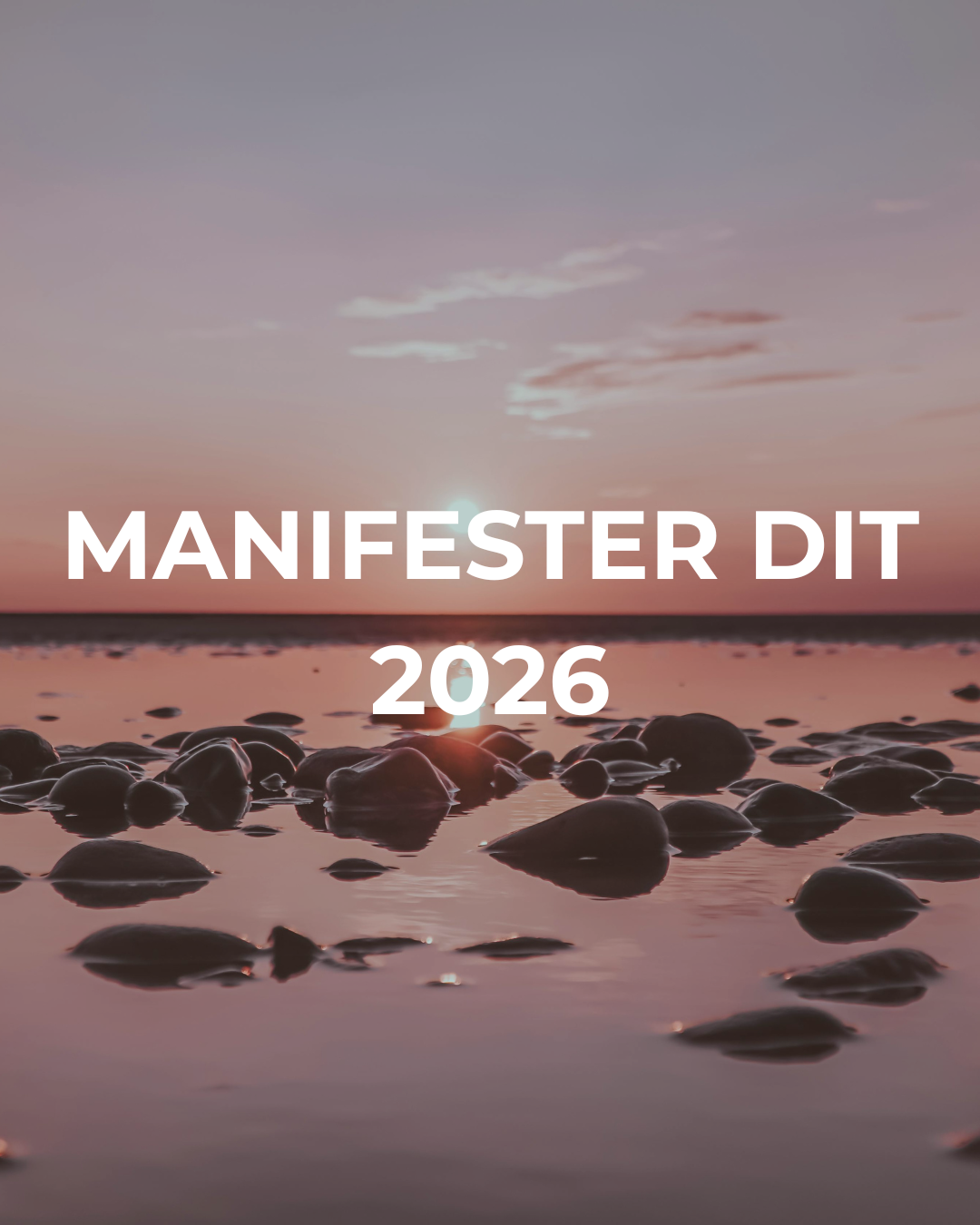 Billede af en solnedgang ved stranden med sten i vandet, teksten 'Manifest DIT 2026' over.