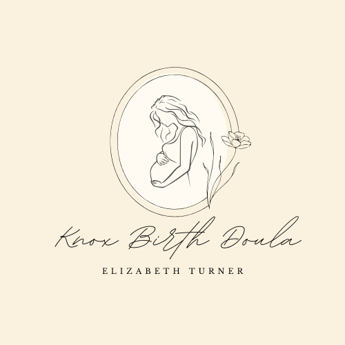 Minimalist line drawing of a pregnant woman with long hair, surrounded by an oval frame and a flower, with the text 'Know Birth Doula' and 'Elizabeth Turner'.