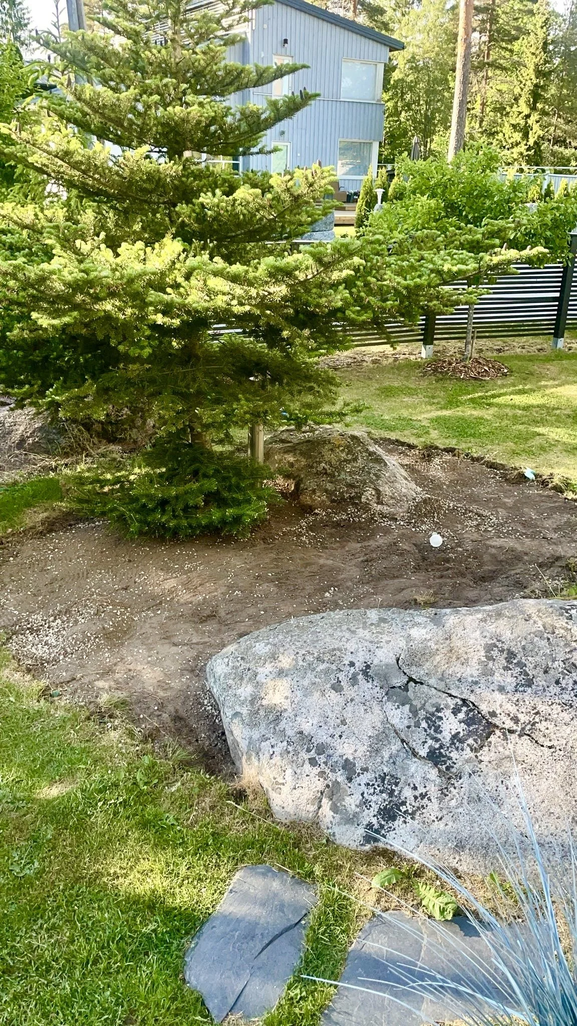 Puutarhan istutusalue ennen