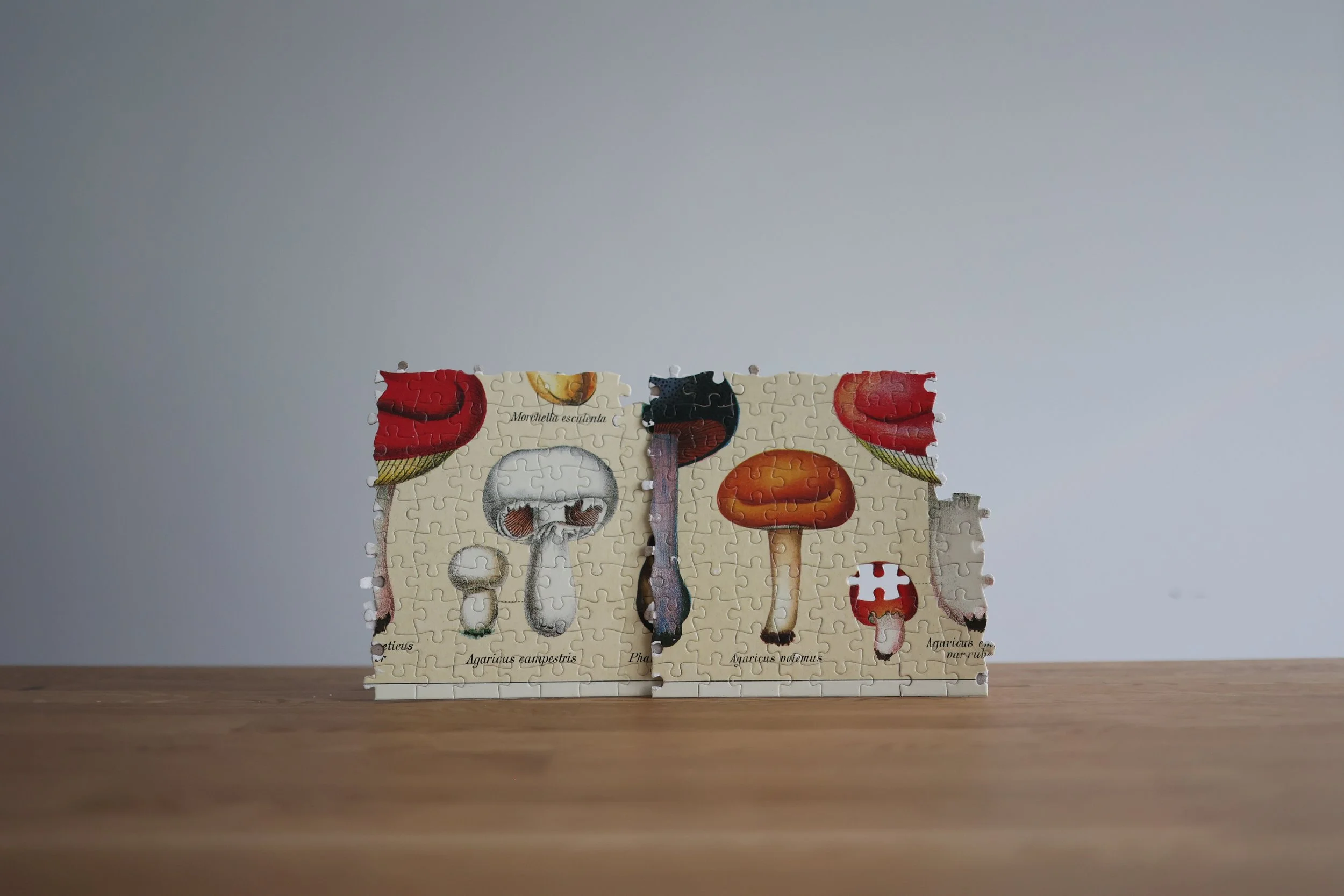 20s | Things I owned | 53.JPG