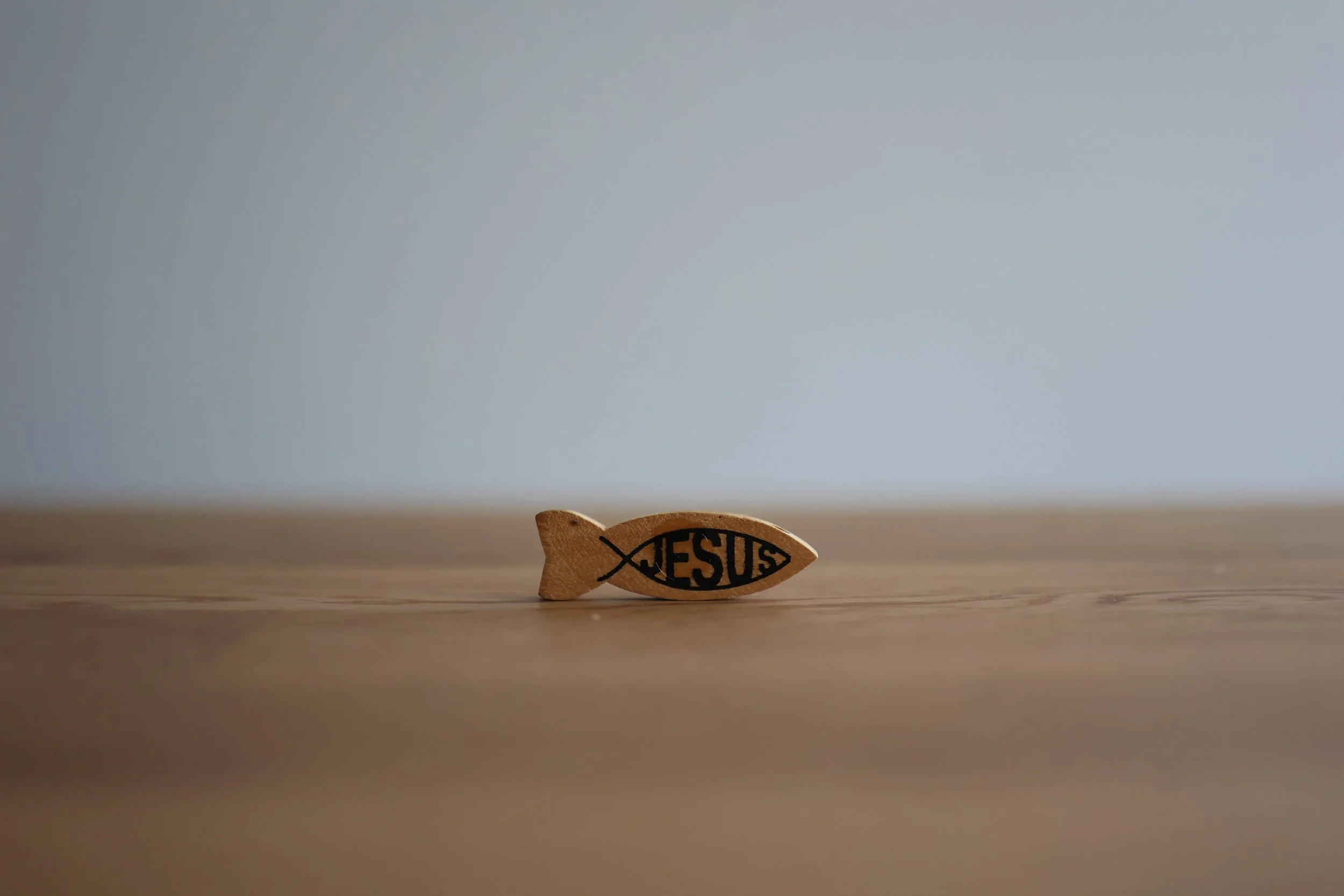 20s | Things I owned | 71.JPG