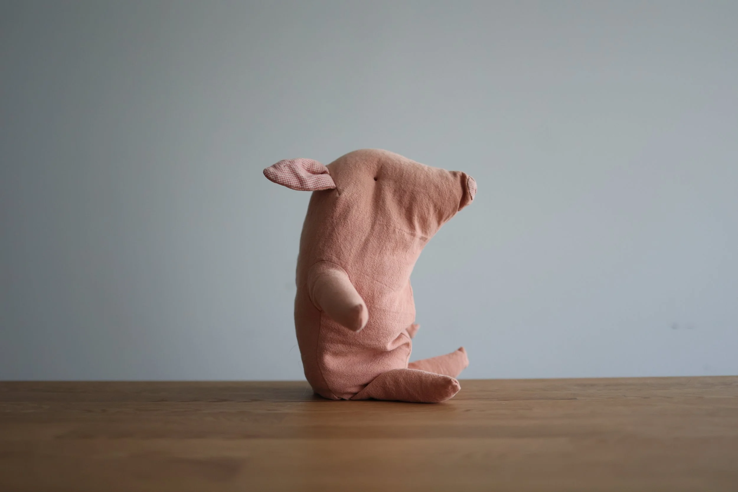 20s | Things I owned | 76.JPG