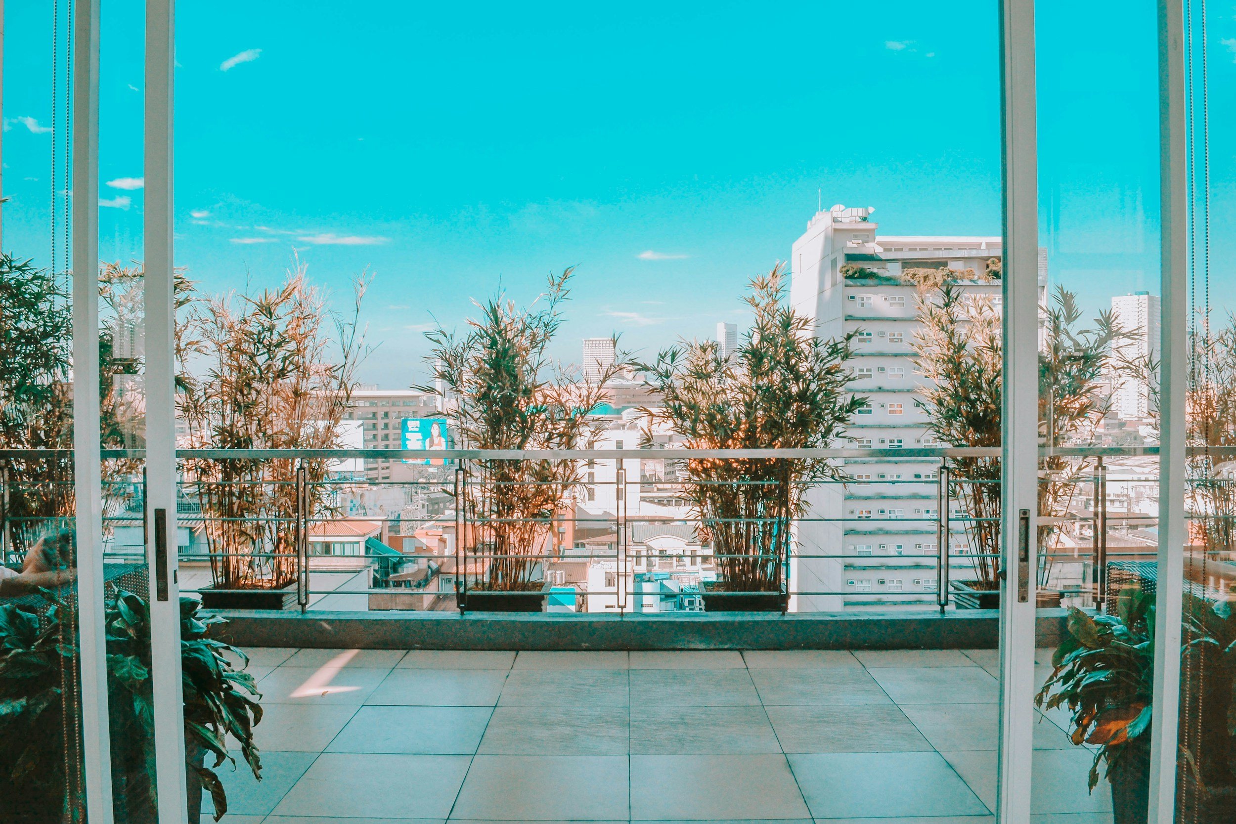 Vue depuis un balcon ou une terrasse dans une ville, vue sur des bâtiments modernes, avec des plantes en pot en premier plan, à travers une grande fenêtre ou porte vitrée.