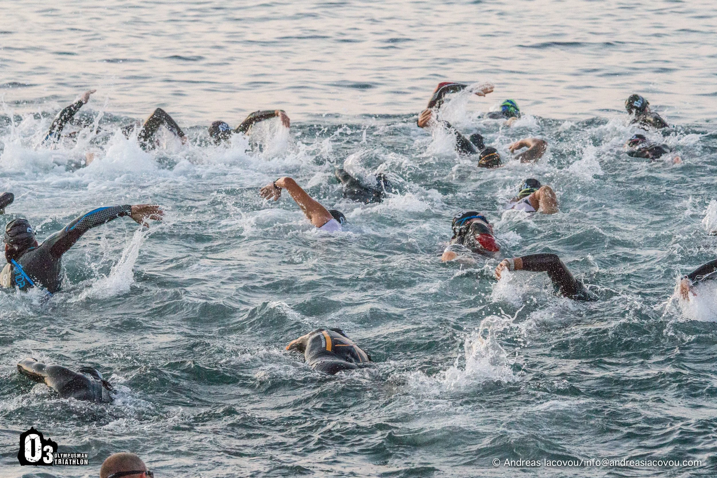 Swimmers competing in a triathlon, swimming in open water with their arms out of the water, wearing wetsuits and goggles.