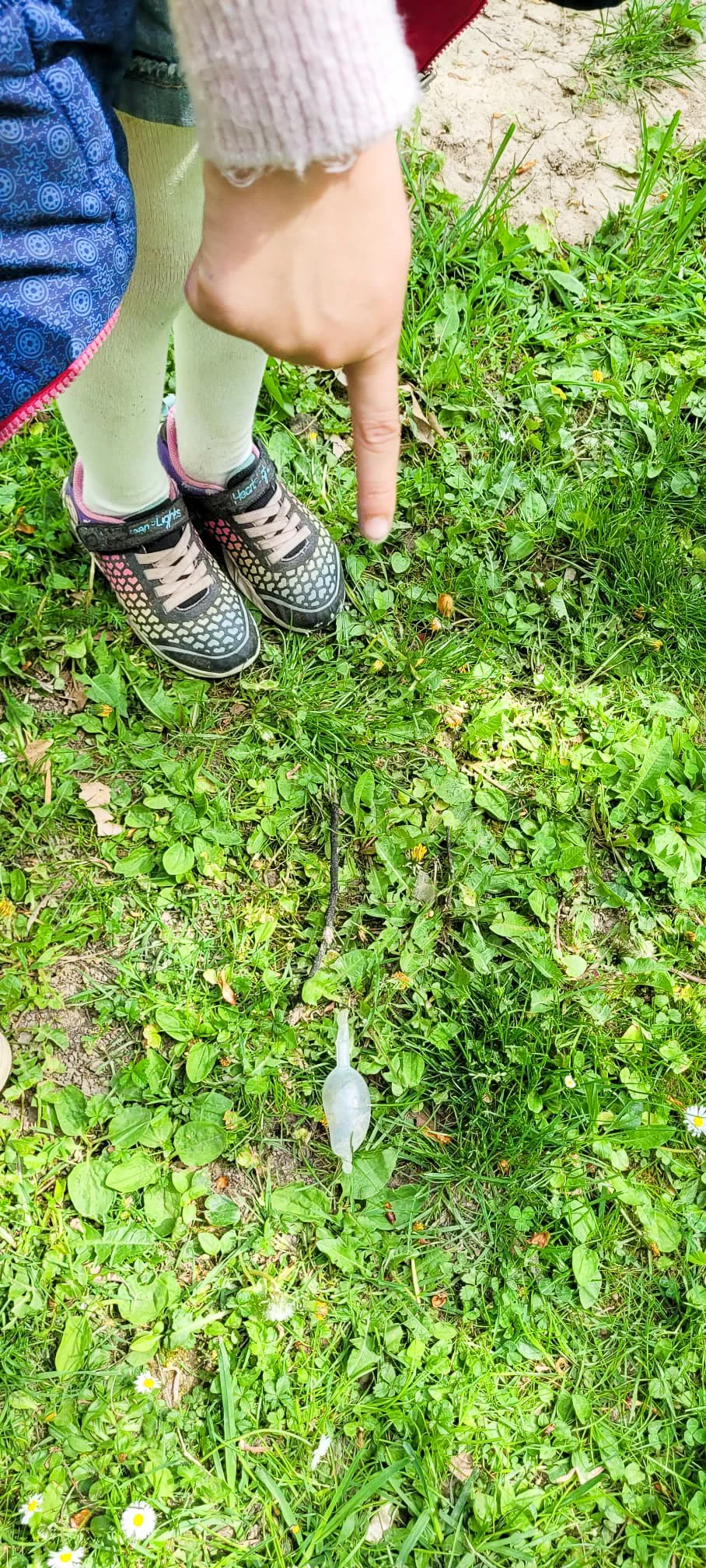 Ich wünsche mir, dass der Mensch die Natur nicht zerstört.