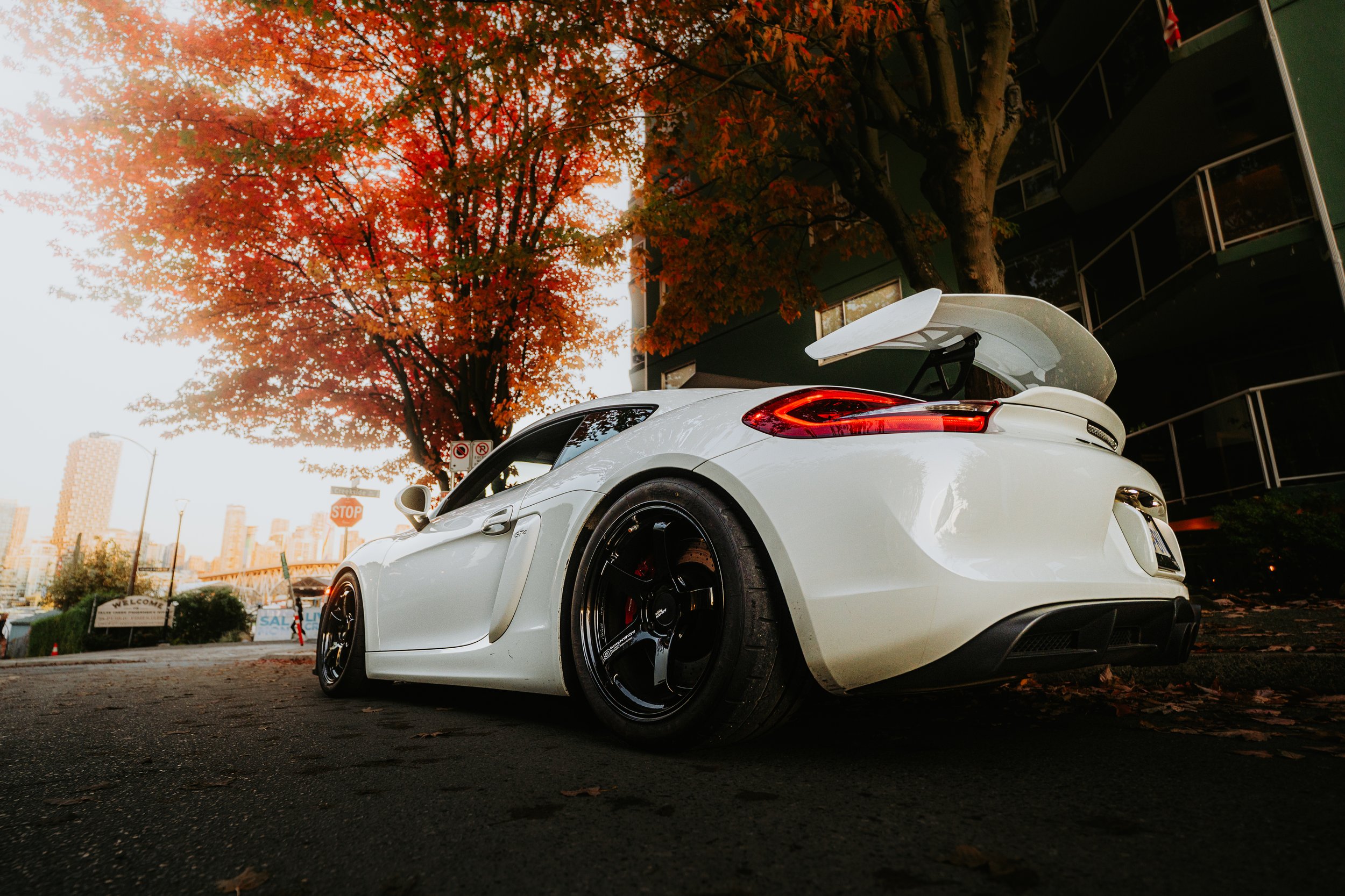 A white sports car with a rear spoiler parked on a city street during autumn, with a large red-leaved tree and tall buildings in the background.